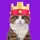 TheRoyalEngineer