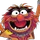 MuppetMat13