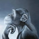 Monkey_Ludge