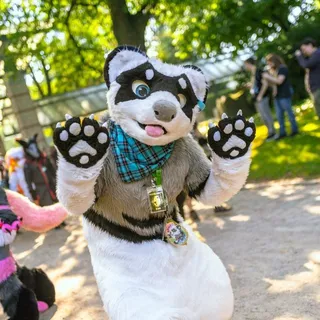 JayTheFerret