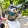 JayTheFerret