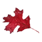 Bolukan