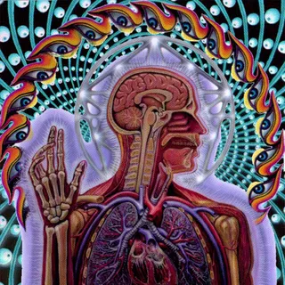 s3n5e