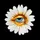 Doodledaisydoll