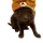 doggyben