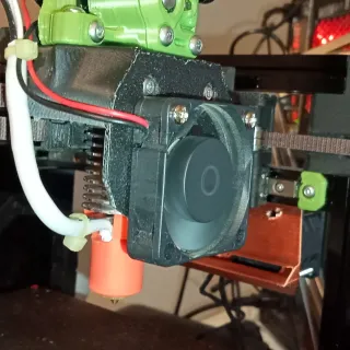_Leonardo_