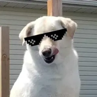 MMOmaster35