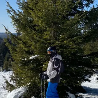 alexander2.0