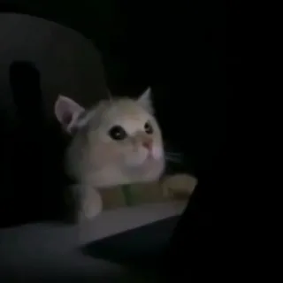 Delusi0n