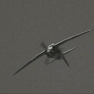 DP