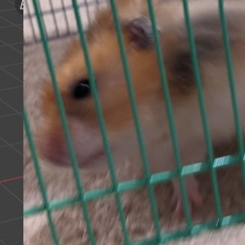 GrubKiwi (Ryan)