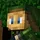 Link