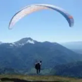 antoine163