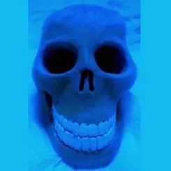 BluSkull