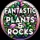 Fantastic Plants & Rocks