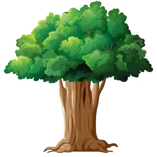 Baum