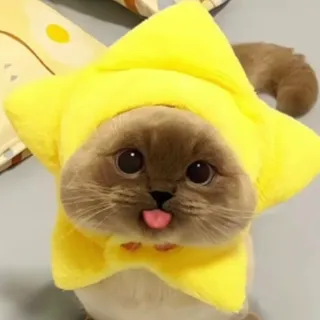 random items... idk bro