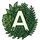 Apteka