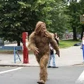 Bigfoot