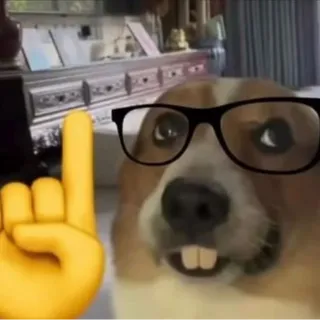 MouldyTVDinner