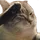 wardbox