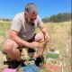 Castle Hives