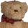 bbear