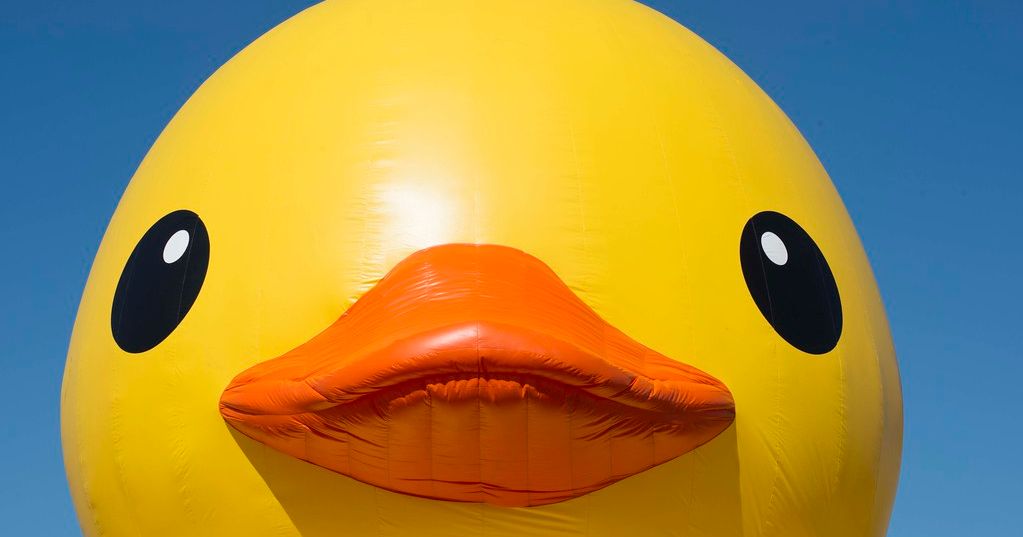 TheYellowDuck | Printables.com