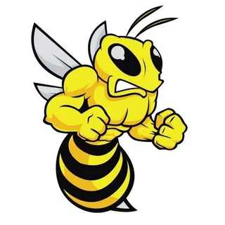 prettyflyforabeeguy