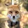 ItzLFox
