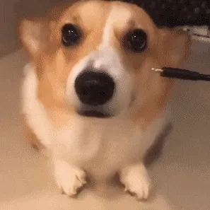 Samson