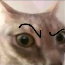 MrTejuino