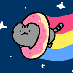 donutcat