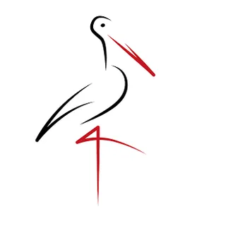 _Storch_