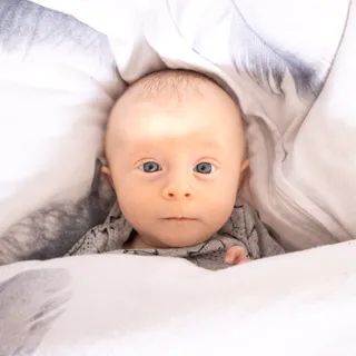 Jan