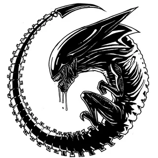 XX121