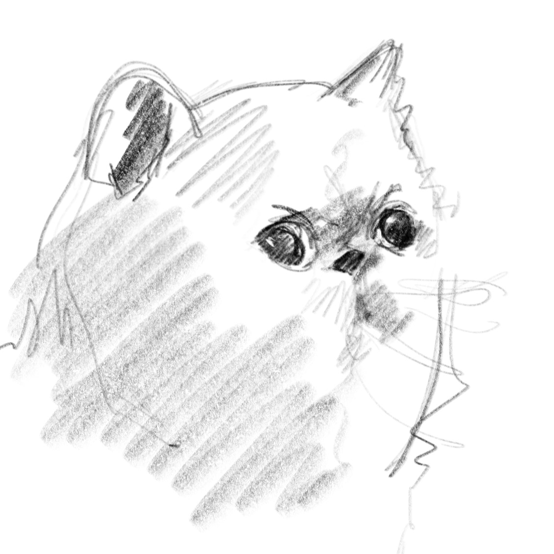 KRKLY
