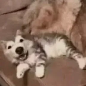 Hmmm
