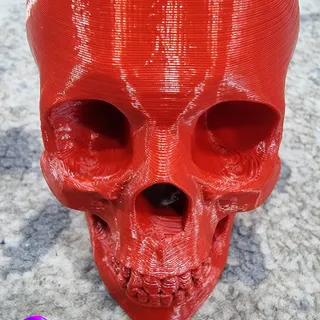 3D Printed World