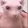 NathanDeBingus