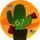 Cactus du 67F