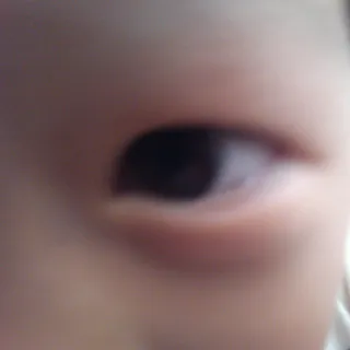 foolofu