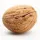 asymptoticwalnut
