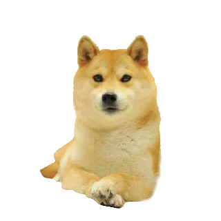 OldaLP