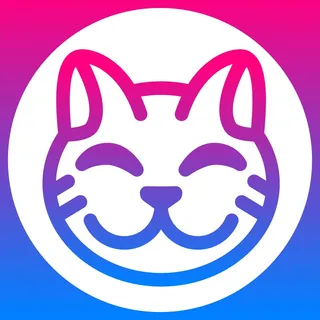 Gatto