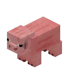 Samslab