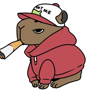 Skwiggums