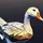 GlassGoose