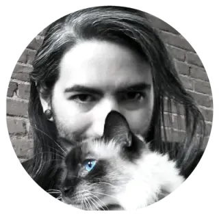 wolfCatWorkshop