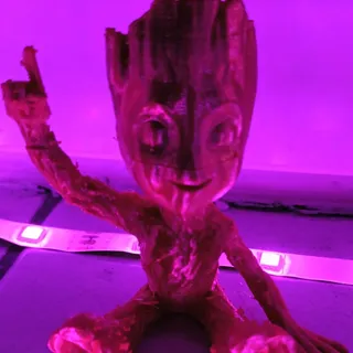 Lucifershrimp
